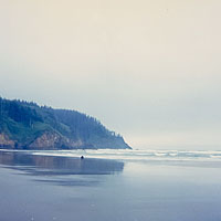 Click for larger view